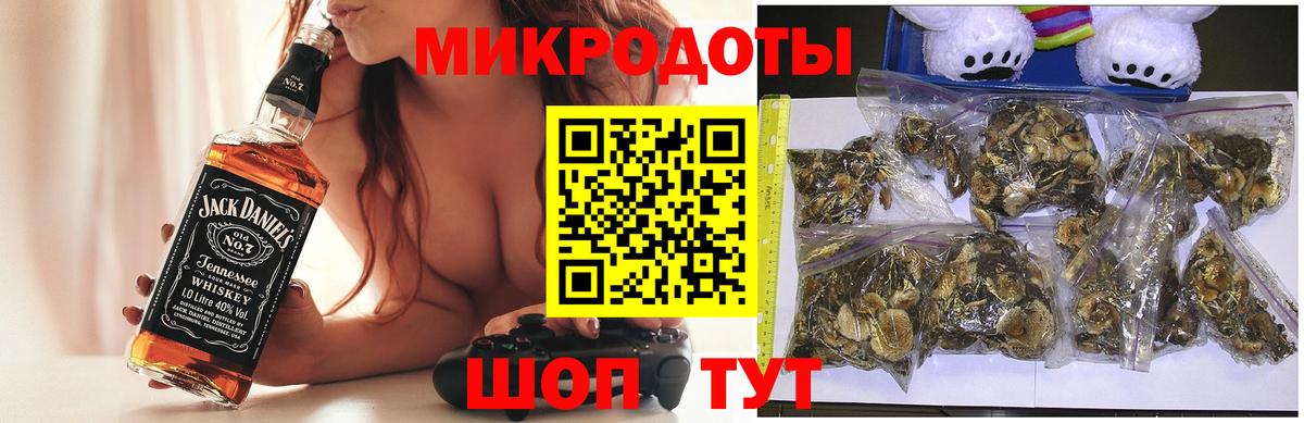 Подольск  продажа наркотиков  Вход с VPN  Галлюциногенные грибы мицелий 